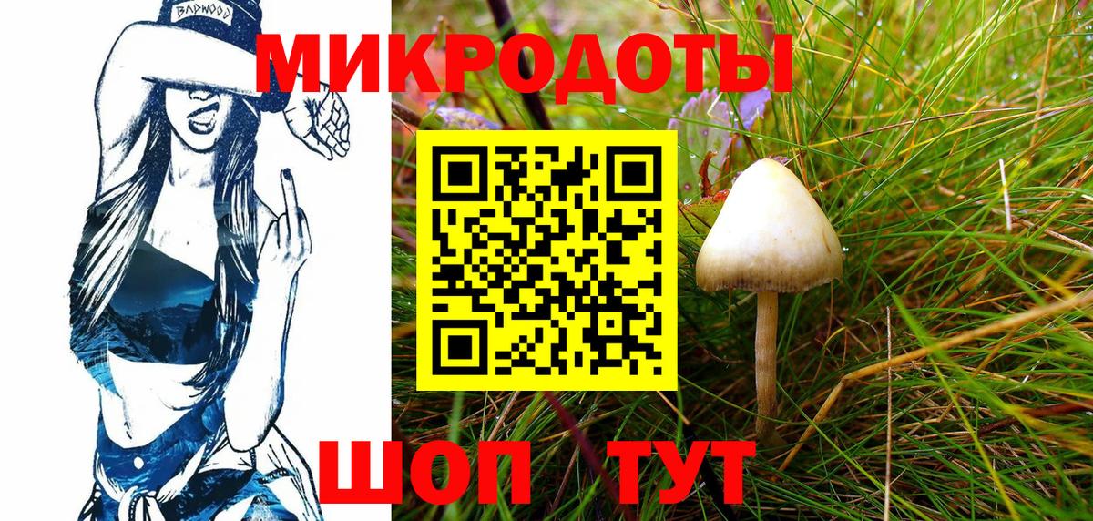 Галлюциногенные грибы GOLDEN TEACHER Куйбышев